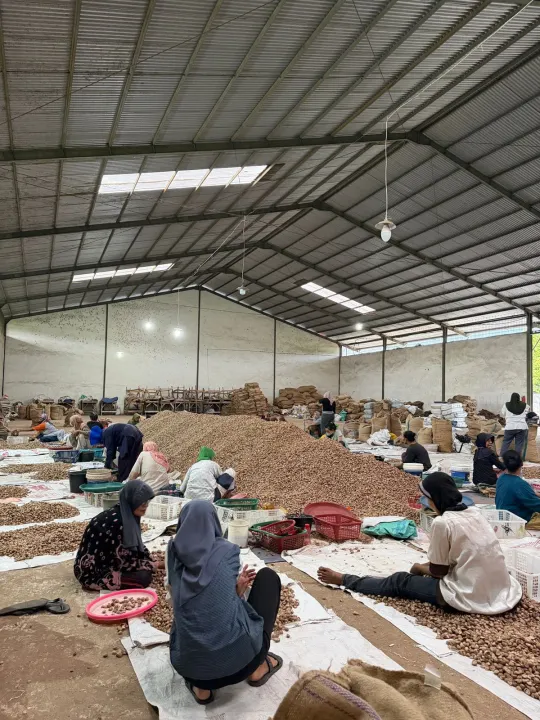 Sortir pinang bersama warga desa binaan
